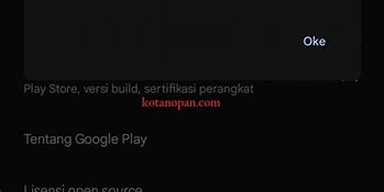 Tidak Bisa Menginstal Aplikasi Dari Playstore